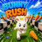 Bunny Rush